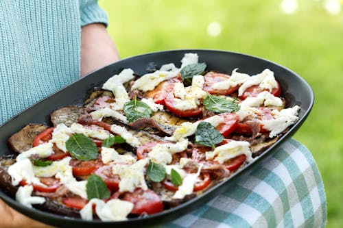 Grilled eggplant salad with mozzarella